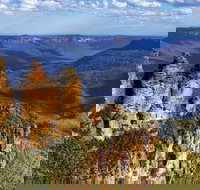 Blue Mountains Day Tour Including Three Sisters Scenic World and Wildlife Park - Lismore Accommodation