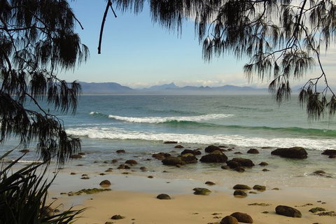 3-Hour Small-Group Byron Bay Tour - Lismore Accommodation 8