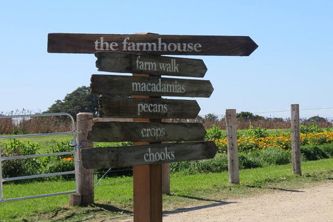 3-Hour Small-Group Byron Bay Tour - Lismore Accommodation 3