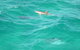 3-Hour Small-Group Byron Bay Tour - thumb 5