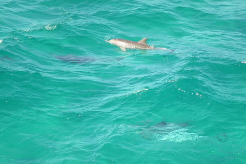 3-Hour Small-Group Byron Bay Tour - Lismore Accommodation 5