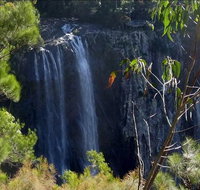 Byron Bay Hinterland Tour Including Rainforest Walk to Minyon Falls - Lismore Accommodation