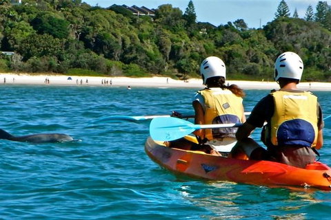 Byron Bay Kayaking With Dolphins And Mount Warning Sunrise Climb Including Overnight Camping And BBQ Dinner - Lismore Accommodation 9