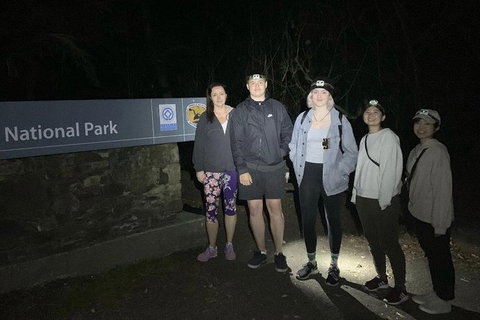 Byron Bay Kayaking With Dolphins And Mount Warning Sunrise Climb Including Overnight Camping And BBQ Dinner - Lismore Accommodation 2