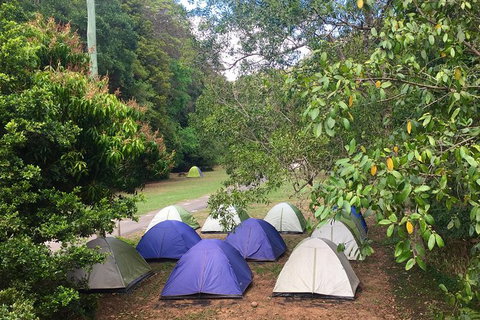 Byron Bay Kayaking With Dolphins And Mount Warning Sunrise Climb Including Overnight Camping And BBQ Dinner - Lismore Accommodation 13