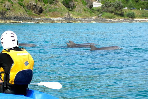 Byron Bay Kayaking With Dolphins And Mount Warning Sunrise Climb Including Overnight Camping And BBQ Dinner - Lismore Accommodation 8