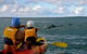 Byron Bay Kayaking With Dolphins And Mount Warning Sunrise Climb Including Overnight Camping And BBQ Dinner - thumb 3