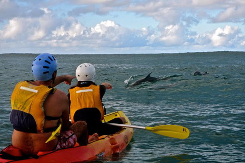 Byron Bay Kayaking With Dolphins And Mount Warning Sunrise Climb Including Overnight Camping And BBQ Dinner - Lismore Accommodation 3