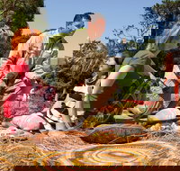 Aboriginal Heritage Tour at the Royal Botanic Garden Sydney - Lismore Accommodation