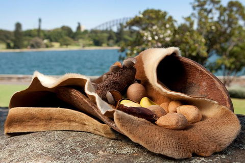 Aboriginal Heritage Tour At The Royal Botanic Garden Sydney - Lismore Accommodation 7
