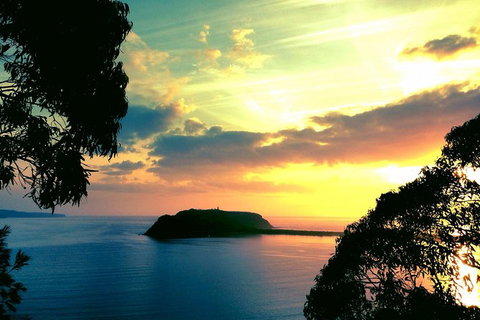 Palm Beach And Pittwater Kayak Tours - Lismore Accommodation 0