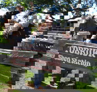 Private Tobruk Sheep Station Day Tour from Sydney Including BBQ Lunch - Lismore Accommodation