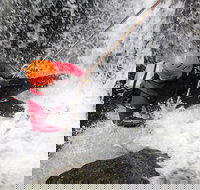 Full Day Sub-Tropical Rainforest Canyoning Adventure from Sydney - Lismore Accommodation