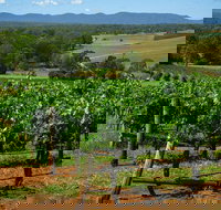 Small Group All Inclusive Hunter Valley Wine Tasting Tour from Sydney - Lismore Accommodation