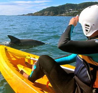 Byron Bay Combo Hinterland Tour Including Minyon Falls and Kayaking with Dolphins - Lismore Accommodation