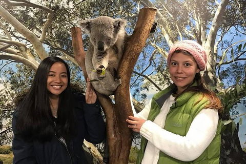 Australia Multi-City Attractions Pass - Lismore Accommodation 2