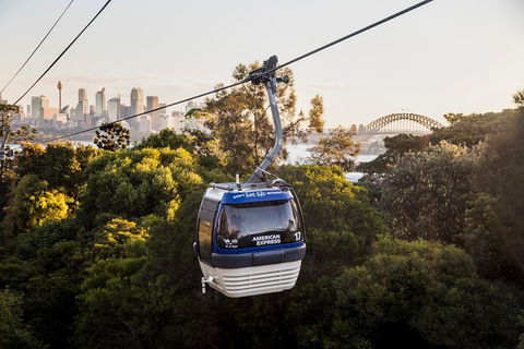 Australia Multi-City Attractions Pass - Lismore Accommodation 5