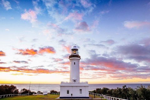 Newcastle And Central Coast Private Shore Excursion | Departs Newcastle Port - Lismore Accommodation 6
