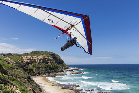 Newcastle And Central Coast Private Shore Excursion | Departs Newcastle Port - Lismore Accommodation 5