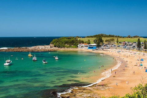 Newcastle And Central Coast Private Shore Excursion | Departs Newcastle Port - Lismore Accommodation 8
