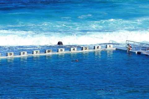 Newcastle And Central Coast Private Shore Excursion | Departs Newcastle Port - Lismore Accommodation 4