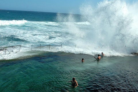 Newcastle And Central Coast Private Shore Excursion | Departs Newcastle Port - Lismore Accommodation 9
