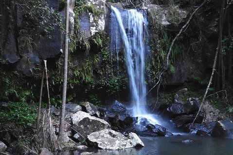 Personal, Private Chauffeur Driven Guided Tours - Lismore Accommodation 1
