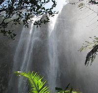 Minyon Falls Rainforest Walk - Lismore Accommodation