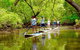 Byron Stand Up Paddle Nature Tour - thumb 0