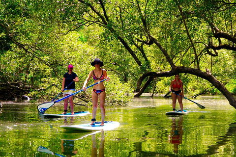 Byron Stand Up Paddle Nature Tour - Lismore Accommodation 4