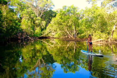 Byron Stand Up Paddle Nature Tour - Lismore Accommodation 3