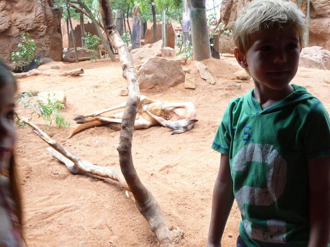 WILD LIFE Sydney Entrance Ticket - Lismore Accommodation 10