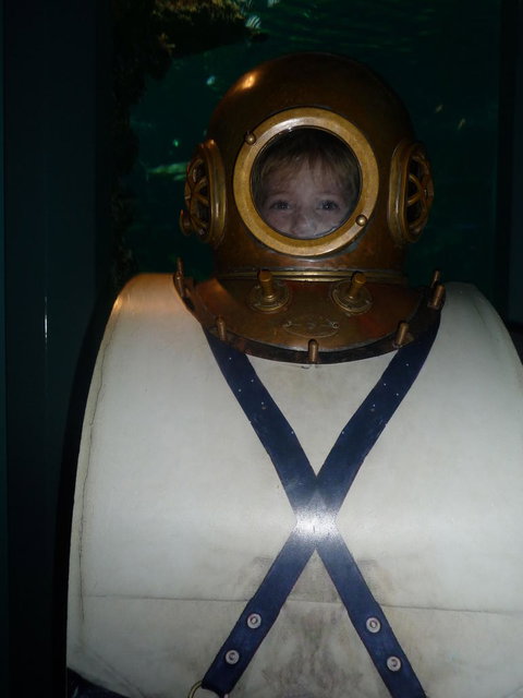 WILD LIFE Sydney Entrance Ticket - Lismore Accommodation 3