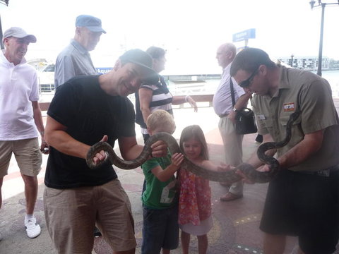 WILD LIFE Sydney Entrance Ticket - Lismore Accommodation 11