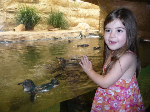 WILD LIFE Sydney Entrance Ticket - Lismore Accommodation 2