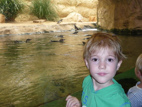 WILD LIFE Sydney Entrance Ticket - Lismore Accommodation 5