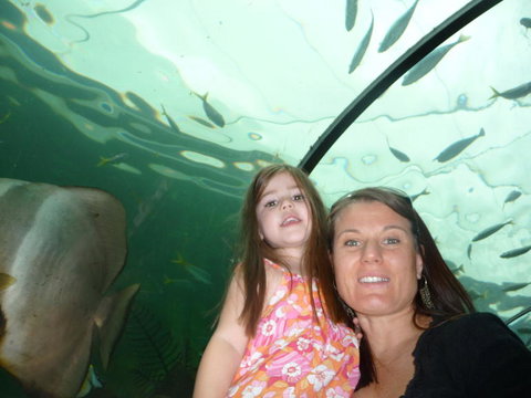 WILD LIFE Sydney Entrance Ticket - Lismore Accommodation 4