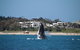 Byron Bay Whale Watching Cruise - thumb 11