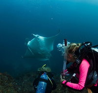 5-Hour Byron Bay Introductory Scuba Diving Tour - Lismore Accommodation