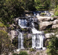 Agnes Falls Scenic Reserve - Lismore Accommodation