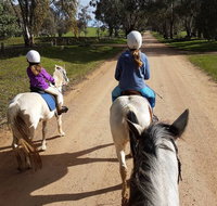 Bits and Boots Pony Rides - Lismore Accommodation