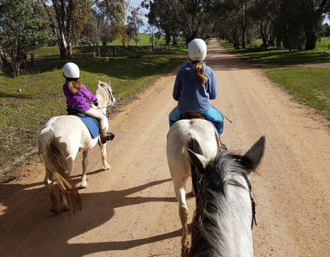Bits And Boots Pony Rides - Lismore Accommodation 0