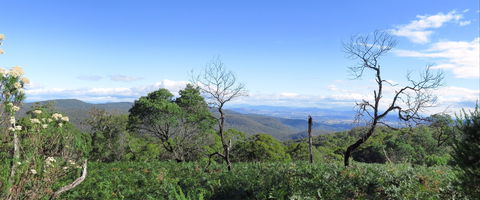 Blue Range Camping And Picnic Area - Lismore Accommodation 0