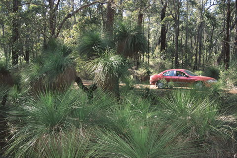 Bridgetown Jarrah Park - Lismore Accommodation 0