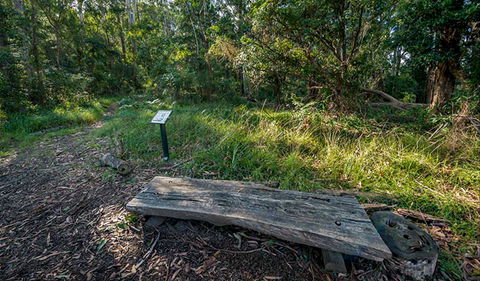 Browns Forest Loop Trail - Lismore Accommodation 0