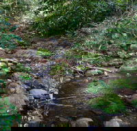 Cascades picnic area - Lismore Accommodation