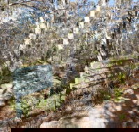 Cascades walking track and viewing platform - Lismore Accommodation