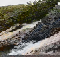 Davies Creek National Park and Dinden National Park - Lismore Accommodation