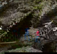 Dig the Tropic - Lismore Accommodation