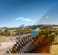 Greenvalleys Mountain Bike Park - Lismore Accommodation